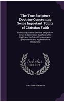 The True Scripture Doctrine Concerning Some Important Points of Christian Faith