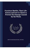 Furniture Beetles, Their Life-history and how to Check or Prevent the Damage Caused by the Worm
