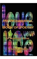 My Wonderful Book of Poetry Vol. IV