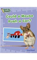 Could a Mouse Push a Car?