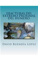 Fracturas del extremo proximal del humero.