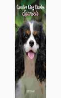 CAVALIER KING CHARLES SPANIELS SLIM DIAR
