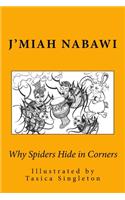 Why Spiders Hide in Corners