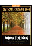 Autumn Tear Drops Landscapes