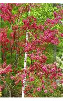 Springtime Trees Journal