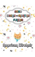 2020 American Wirehair Cat Planner