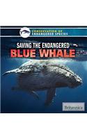 Saving the Endangered Blue Whale