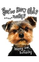 Happy 105th Birthday: You're How Old? Get a Giggle and a Smile when You Give this Funny Dog Birthday Book, that Can be Used as a Journal or Notebook, as a Gift. Way Bette