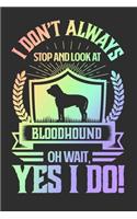 I Don't Always Stop and Look At Bloodhound OH Wait, Yes I Do!