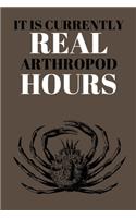 It Is Currently Real Arthropod Hours