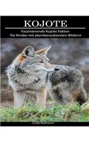 Kojote: Faszinierende Kojote Fakten für Kinder mit atemberaubenden Bildern!