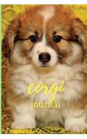 Corgi Notebook