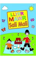 Llyfr Mawr Sali Mali