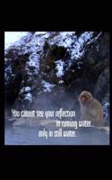 You Cannot See Your Reflection in Running Water, Only in Still Water: Japanese Snow Monkey 6x9 Inch Lined Journal/Notebook - A Beautifully Photographed Snow Monkey in Japan