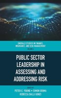 Public Sector Leadership in Assessing and Addressing Risk