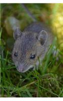 Field Mouse in a Meadow Journal: Take Notes, Write Down Memories in this 150 Page Lined Journal