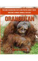 Orangutan