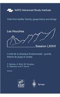 Unity from Duality: Gravity, Gauge Theory and Strings