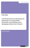 Unterrichtsentwurf zur Erkennung und Benennung von exponentiellen Wachstums- und Zerfallsprozessen. Sprungeigenschaften eines Flummis