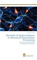 Role of Spike Patterns in Neuronal Information Processing