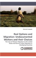 Real Options and Migration: Undocumented Workers and their Choices