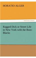 Ragged Dick or Street Life in New York with the Boot-Blacks