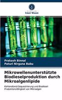 Mikrowellenunterstützte Biodieselproduktion durch Mikroalgenlipide
