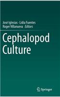 Cephalopod Culture