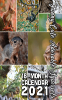 Funny Cute Adorable Squirrels 18-Month Calendar 2021