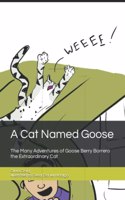 Cat Named Goose