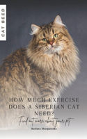 How much exercise does a Siberian cat need?: Find out more about your pet