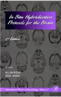 In Situ Hybridization Protocols for the Brain