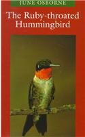 The Ruby-throated Hummingbird