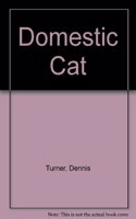 Domestic Cat