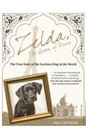 Zelda, the Queen of Paris