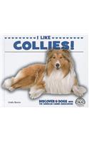 I Like Collies!