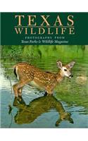 Texas Wild Life