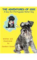 The Adventures of Sigi-A Day as a Portuguese Water Dog