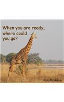 When you are ready, where could you go?