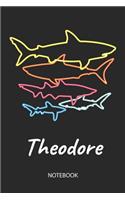 Theodore - Notebook