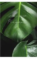 2019 - 2020 Planner: August 2019 - June 2020 Daily Planner with Calendar Dates, Tropical Leaves Cover