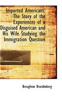 Imported Americans: The Story of the Experiences of a Disguised American and His Wife Studying