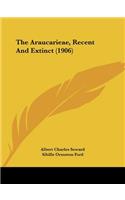 Araucarieae, Recent And Extinct (1906)