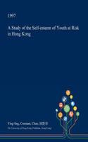 A Study of the Self-Esteem of Youth at Risk in Hong Kong: (English)