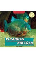 Piranhas and Other Creatures of the Amazon / Pirañas Y Otros Animales de la Selva Amazónica