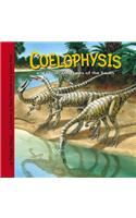 Coelophysis And Other Dinosaurs of the South