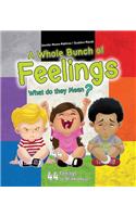 A Whole Bunch of Feelings: What Do They Mean?