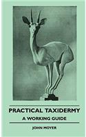 Practical Taxidermy - A Working Guide