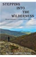 Stepping into the Wilderness