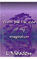 From The Far Side Of My Imagination